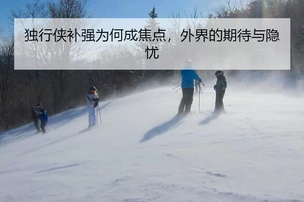 独行侠补强为何成焦点，外界的期待与隐忧 | wukongsports